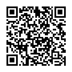 李耀不觉得从没学过建筑设计的自己还有这样的手艺二维码生成