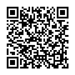 李耀也看到了侯子涛微型晶脑中投射出来的照片二维码生成