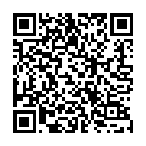 李耀仿佛能听到少年体内每一束肌肉和神经先是被死死抽紧二维码生成