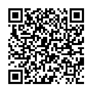 李耀只有左眼涂抹了能够看到金丝大阵的淡金色药膏二维码生成