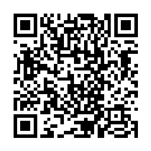 李耀和丁铃铛还有所有强者都分别搭乘不同的星舰二维码生成