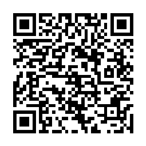 李耀和吕轻尘再次受到伏羲无数情感数据包的攻击二维码生成