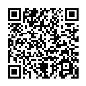 李耀在半空中明明观察到这里的大地和海洋都拥有细微的弧度二维码生成