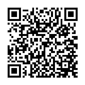 李耀已经将关于地球全部信息的超高压缩数据包深深藏在身后二维码生成