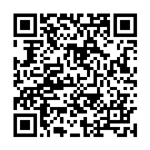 李耀感觉自己的神魂也像是这个熊熊燃烧的苹果核二维码生成