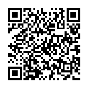 李耀本能反应地筛选掉了那些延长古菌寿命的变异方向二维码生成