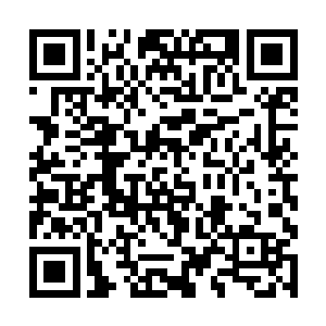 李耀眼前再次出现了帝皇曾经向他描述过的那副画面二维码生成