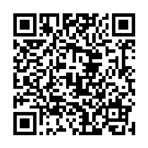 李耀眼睁睁看着泡沫之海中伸出了无数条粉红色的触手二维码生成