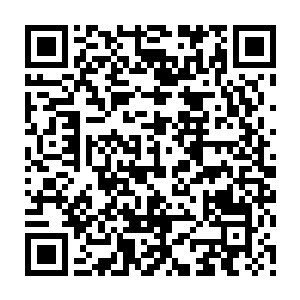 李耀眼睁睁看着这名盘古族战士体内狂涌出来的触须将四肢和躯干统统缠绕二维码生成