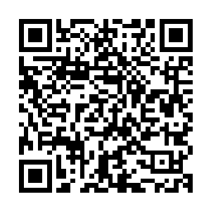 李耀等人类强者以及望月者等洪荒强者面对的根本不是一头怪兽二维码生成