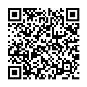 李耀自然而然把滚烫的手掌放到了张嘉树的前额上二维码生成