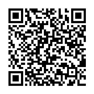 李耀这一刀从古无心的天灵盖中央不偏不倚劈了进去二维码生成