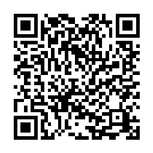 李耀隐约看到无数道斑斓的流光从畸形大脑中飞快流出二维码生成