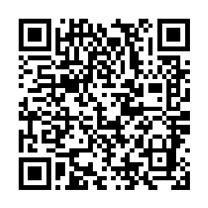 李耀隐隐可以看到寇如火晶铠背后的动力符阵周围二维码生成