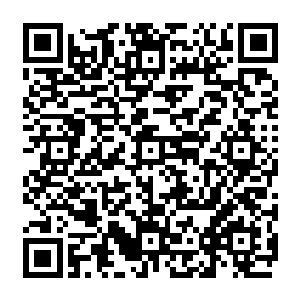 李蕴在一片忙碌的气氛里有些无奈地跟人解释师师姑娘今天偶感风寒不能出来见客的情况二维码生成