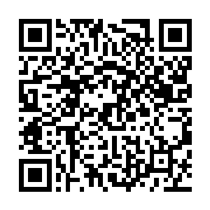 李蘭枫一边说话一边在光脑上将华夏联邦的星域图调了出来二维码生成