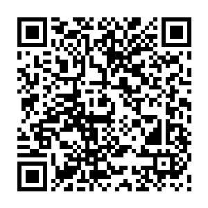 李蘭枫突然将后背卡座上的一把剑身狭长的优点像唐刀模样的巨剑丢给了洛浪二维码生成