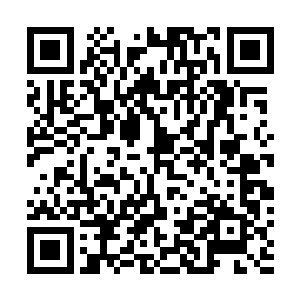 李谦大约是最敢大胆启用新人演员来担纲商业片的导演了二维码生成