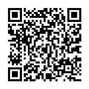 李谦带着自己的助理和秘书一起蹲在片场边上吃午饭的工夫二维码生成