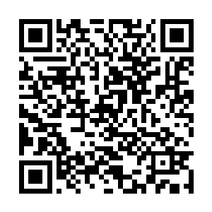 李谦把沙发上略显凌乱的几件布偶玩具归拢了归拢二维码生成