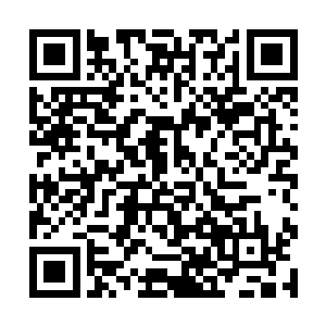 李谦最近两年越来越有做什么事情都一本正经的架势二维码生成
