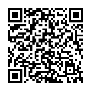 李谦本来也没指望录一个小样能录出什么花样来二维码生成