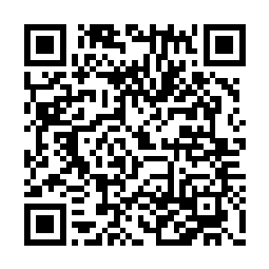 李辰飞忽然在大家都忘了还有大道法可用的时候二维码生成