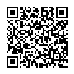 李通州城主已经是成功炼化十九枚本命晶核的大圆满了二维码生成