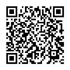 李逸风手中的这对玉马所有木灵玉材料最多有十二三万年的年份二维码生成