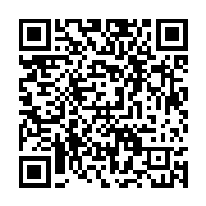 李郑一便是因为学校铺天盖地的关于赵雨华的信息二维码生成