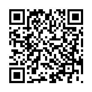 李金方也是一脸遗憾的放下了手里的枪二维码生成