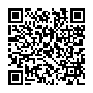 李金方的老部队给了他作为一个士兵最珍贵的特质二维码生成