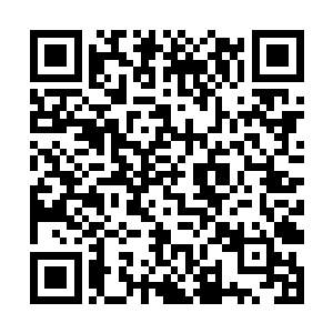 李锐就没有继续跟随高健和沈文丽去他们家守株待兔二维码生成