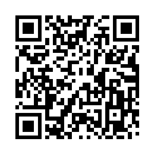 李锐本来装了满满一乾坤袋的各种玩具二维码生成