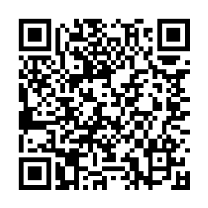 李锐爽快的表现再次让太阳星君满意的了点了点头二维码生成