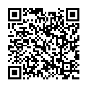 李锐终于感受到毛脚女婿见丈母娘的那种忐忑心情二维码生成