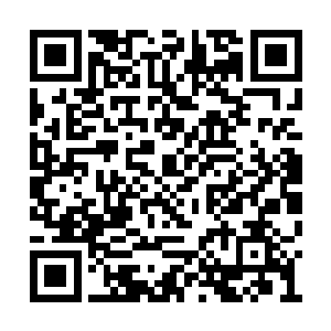 李长老拿起刀对着九十七号海马武士狠狠地砍下二维码生成