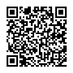 李阿文从风奇泽的手上的颤抖可以感觉的出来风奇泽是在害怕二维码生成