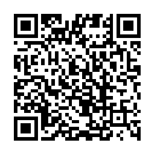 李雨彤便带着林烽火速地赶往中山路43号的英雄食府去二维码生成