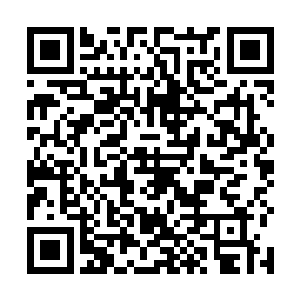 李雨彤和紫霞带着弟子正和千机门的弟子周旋在了一起二维码生成