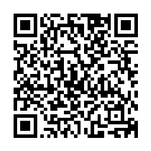 李雨彤指着正前方在尸山尸海当中露出来的巨大金色棺材说道二维码生成