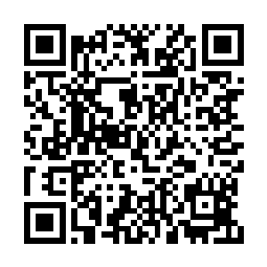 李雨彤还不敢肯定这里就是工人们看到的万人坑二维码生成