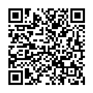 李青衣萧白衣以及云诗诗都已经踏入了天元境后期巅峰二维码生成