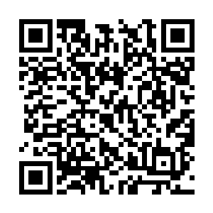 李飘雪祭出来的第二柄宝器是一把造型奇特的弯刀二维码生成