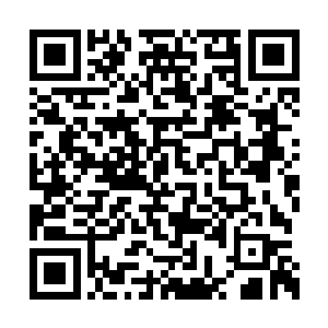 李香觉得于今没有必要那么用心地编谎言骗自己二维码生成