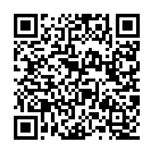 李鸾儿毫不费劲的看到李春右脸上红红的巴掌印二维码生成