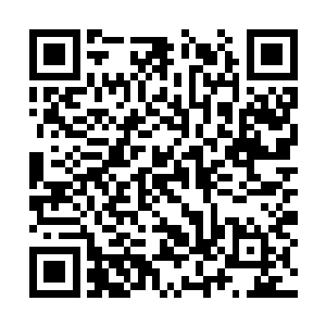 李鸾儿绕过屏风将半躺在床上的顾大娘子扶了起来二维码生成