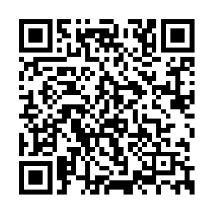 李鸾儿这个女爵爷自然也会在朝堂上转上一圈的二维码生成