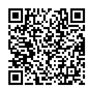 李鸾儿进去之后便叫掌柜的挑捡出一些棉布衣裳来二维码生成