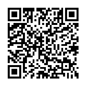 材料齐全的炖肉煮熟以后整个部落都弥漫着香气二维码生成